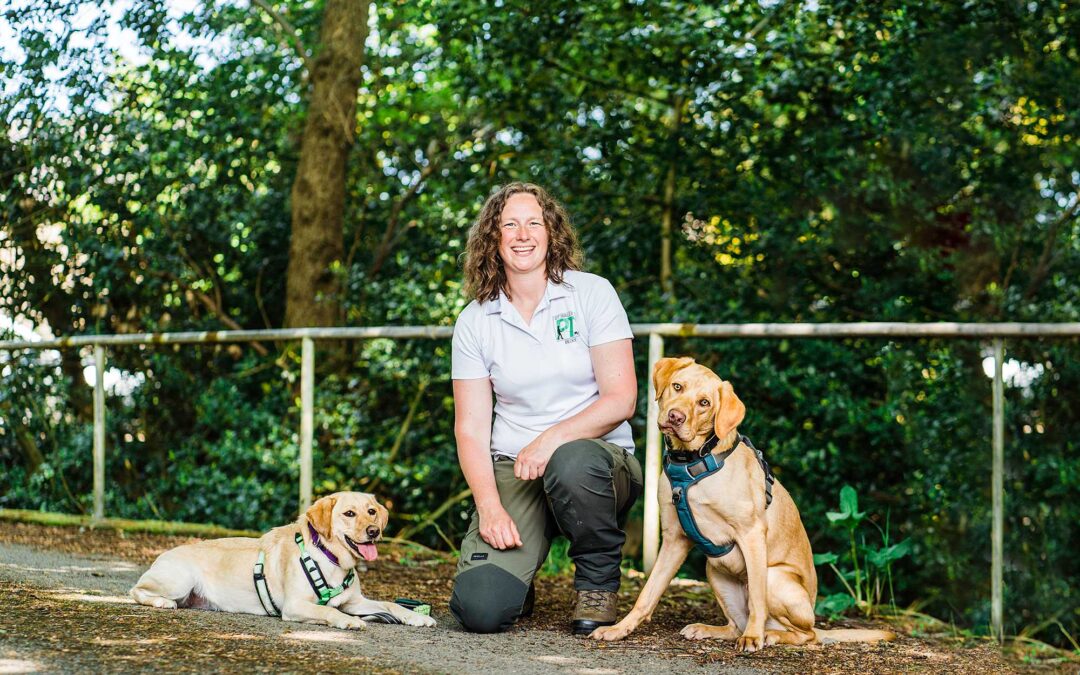 How to get the most of your professional pet business photography (so you get your money’s worth)